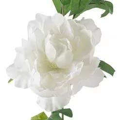 Best Pirce ✔️ 6 Pack: 6ft. Cream Peony Garland by Ashland® 😍 -Ashland Online Store 10676304 20 1