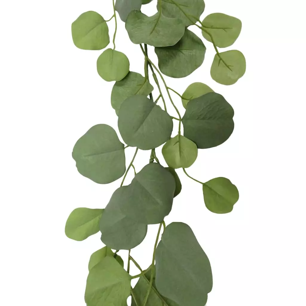 Outlet ๐ 6ft. Eucalyptus Garland by Ashland® ๐งจ 3 Outlet ๐ 6ft. Eucalyptus Garland by Ashland® ๐งจ