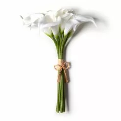 Coupon 😍 White Calla Lily Bundle by Ashland® ✔️ -Ashland Online Store 10676315 21