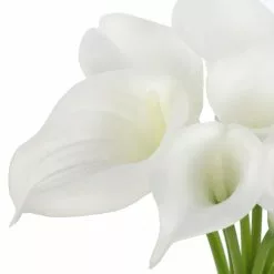 Coupon 😍 White Calla Lily Bundle by Ashland® ✔️ -Ashland Online Store 10676315 3