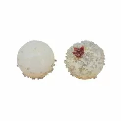 Best Pirce ❤️ Iced White Berry Filler by Ashland® ⭐ -Ashland Online Store 10676682 2