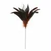 Cheap ✨ Chocolate Peacock Feather Pick by Ashland® 👍 -Ashland Online Store 10677446 1