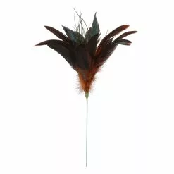 Cheap ✨ Chocolate Peacock Feather Pick by Ashland® 👍