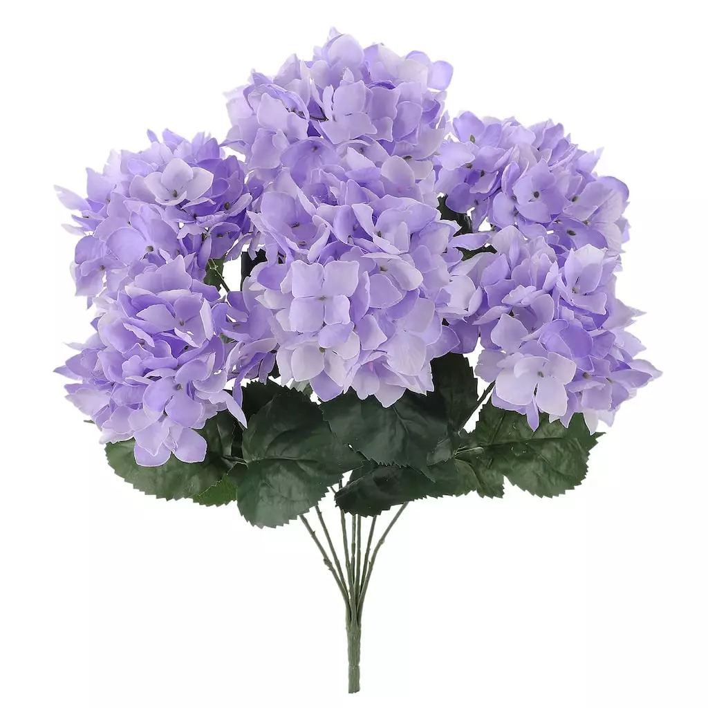 Best Pirce โจ 12 Pack: Purple Hydrangea Bush by Ashland® ๐ 3 Best Pirce โจ 12 Pack: Purple Hydrangea Bush by Ashland® ๐