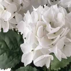 New 🧨 12 Pack: White Hydrangea Bush by Ashland® ✔️ -Ashland Online Store 10677450 20 1