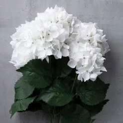 New 🧨 12 Pack: White Hydrangea Bush by Ashland® ✔️ -Ashland Online Store 10677450 22 1