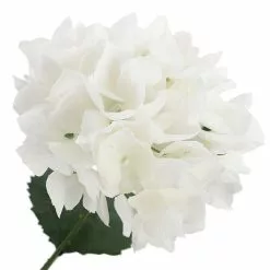 Best Sale 🤩 White Hydrangea Bush by Ashland® 🎉 -Ashland Online Store 10677450 3