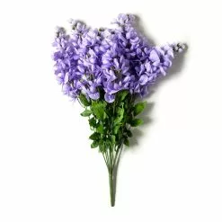 Budget 💯 12 Pack: Purple Wisteria Bush by Ashland® 😍 -Ashland Online Store 10677451 21 1