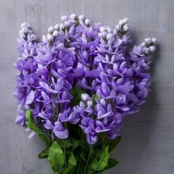 Budget 💯 12 Pack: Purple Wisteria Bush by Ashland® 😍 -Ashland Online Store 10677451 22 1