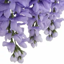 Budget 💯 12 Pack: Purple Wisteria Bush by Ashland® 😍 -Ashland Online Store 10677451 6 1
