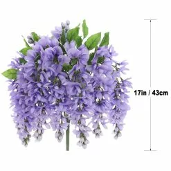 Budget 💯 12 Pack: Purple Wisteria Bush by Ashland® 😍 -Ashland Online Store 10677451 7 1