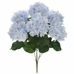 Best reviews of 🎁 Light Blue Hydrangea Bush by Ashland® 💯