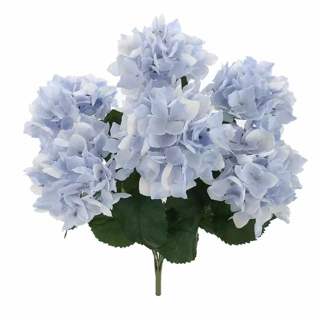 Hot Sale ๐ 12 Pack: Light Blue Hydrangea Bush by Ashland® ๐ 4 Hot Sale ๐ 12 Pack: Light Blue Hydrangea Bush by Ashland® ๐ - Image 2