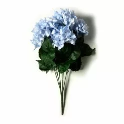 Hot Sale ๐ 12 Pack: Light Blue Hydrangea Bush by Ashland® ๐ 14 Hot Sale ๐ 12 Pack: Light Blue Hydrangea Bush by Ashland® ๐ -Ashland Online Store 10677452 21