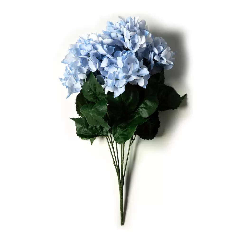 Hot Sale ๐ 12 Pack: Light Blue Hydrangea Bush by Ashland® ๐ 8 Hot Sale ๐ 12 Pack: Light Blue Hydrangea Bush by Ashland® ๐ - Image 6