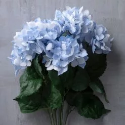 Best reviews of 🎁 Light Blue Hydrangea Bush by Ashland® 💯 -Ashland Online Store 10677452 22 1