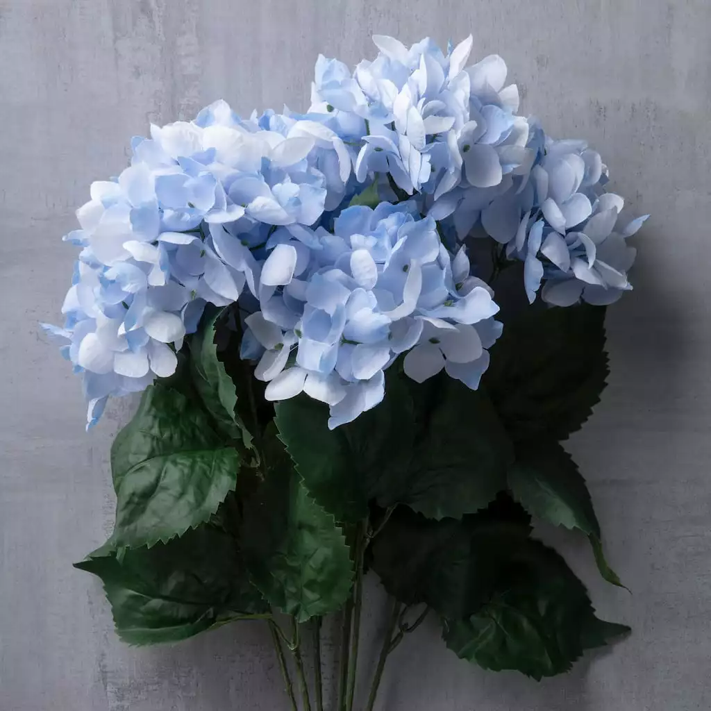Hot Sale ๐ 12 Pack: Light Blue Hydrangea Bush by Ashland® ๐ 9 Hot Sale ๐ 12 Pack: Light Blue Hydrangea Bush by Ashland® ๐ - Image 7