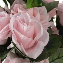 New 💯 12 Pack: Pink Rose Bush by Ashland® 🧨 -Ashland Online Store 10677454 20