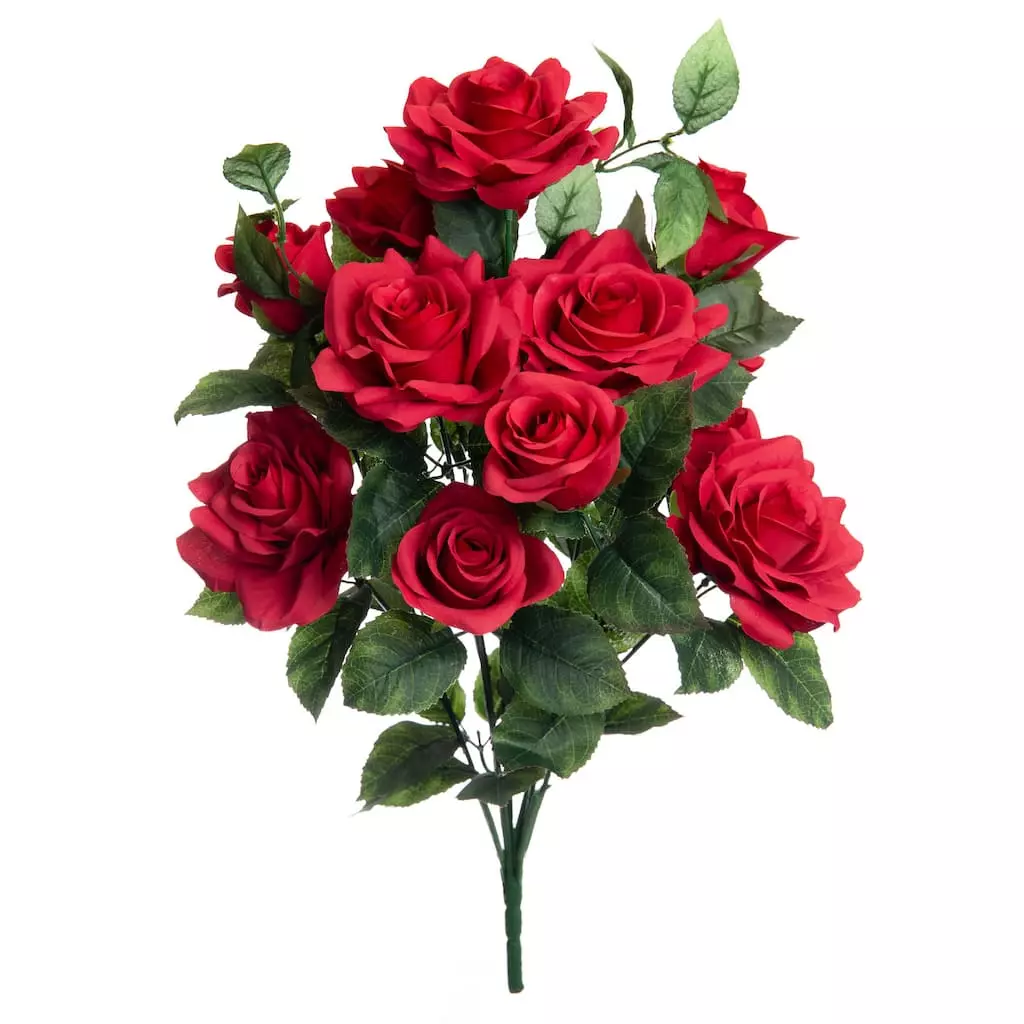 Best reviews of ⌛ 12 Pack: Red Rose Bush by Ashland® 🤩 3 Best reviews of ⌛ 12 Pack: Red Rose Bush by Ashland® 🤩