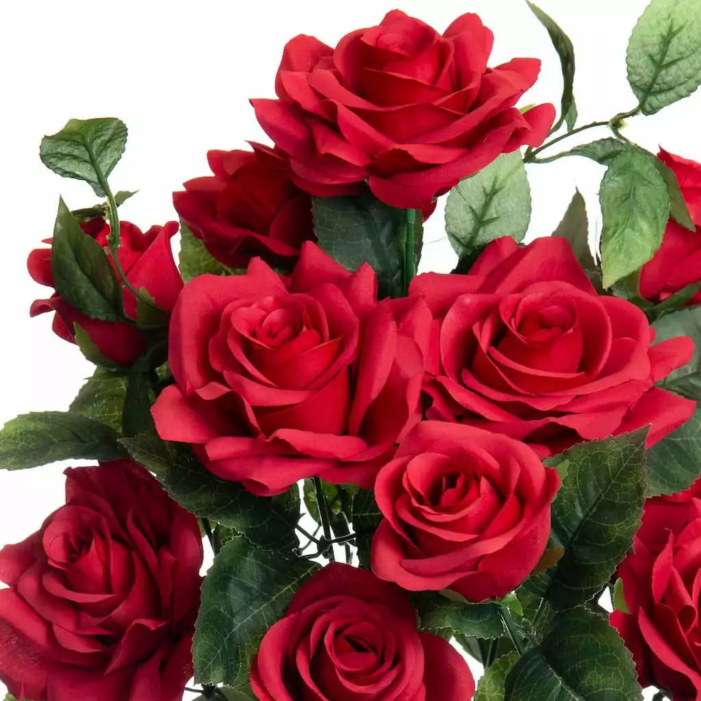 Best reviews of ⌛ 12 Pack: Red Rose Bush by Ashland® 🤩 4 Best reviews of ⌛ 12 Pack: Red Rose Bush by Ashland® 🤩 - Image 2