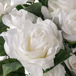 Best reviews of ✨ White Rose Bush by Ashland® ❤️ -Ashland Online Store 10677458 20