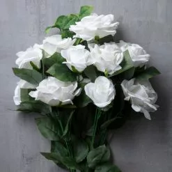 Best reviews of ✨ White Rose Bush by Ashland® ❤️ -Ashland Online Store 10677458 22