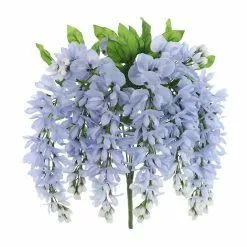 Top 10 🧨 12 Pack: Blue Wisteria Bush by Ashland® 🌟