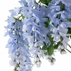 Best Pirce ✔️ Blue Wisteria Bush by Ashland® 🥰 -Ashland Online Store 10677460 20