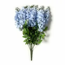 Top 10 🧨 12 Pack: Blue Wisteria Bush by Ashland® 🌟 -Ashland Online Store 10677460 21 1