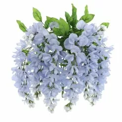 Best Pirce ✔️ Blue Wisteria Bush by Ashland® 🥰 -Ashland Online Store 10677460 5