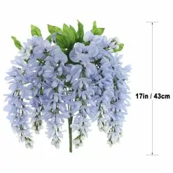 Best Pirce ✔️ Blue Wisteria Bush by Ashland® 🥰 -Ashland Online Store 10677460 7