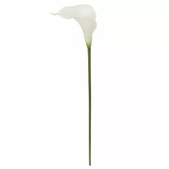 Outlet ⭐ White Calla Lily Stem by Ashland® ✨