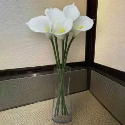 Outlet ⭐ White Calla Lily Stem by Ashland® ✨ -Ashland Online Store 10679176 4