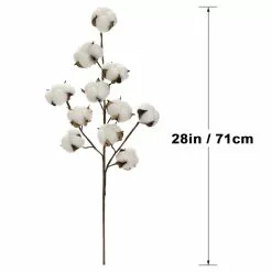 Coupon ⌛ Cotton Stem by Ashland® 🛒 -Ashland Online Store 10679177 3