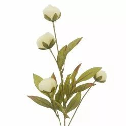 Wholesale ⌛ Cream Peony Stem by Ashland® ✔️ -Ashland Online Store 10679180 2
