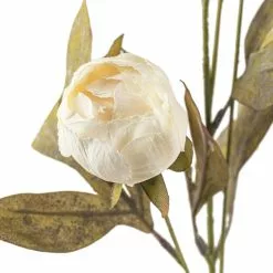 Wholesale ⌛ Cream Peony Stem by Ashland® ✔️ -Ashland Online Store 10679180 20