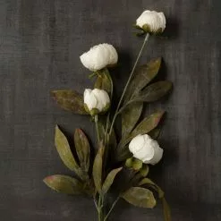 Wholesale ⌛ Cream Peony Stem by Ashland® ✔️ -Ashland Online Store 10679180 25