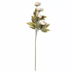 Deals 🔥 Tan Peony Stem by Ashland® ⭐ -Ashland Online Store 10679183 21