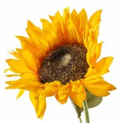 Discount 😍 Gold Sunflower Stem by Ashland® ⭐ -Ashland Online Store 10679186 20