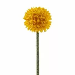 Outlet 🎉 Yellow Billy Ball Stem by Ashland® 🛒 -Ashland Online Store 10679191 20