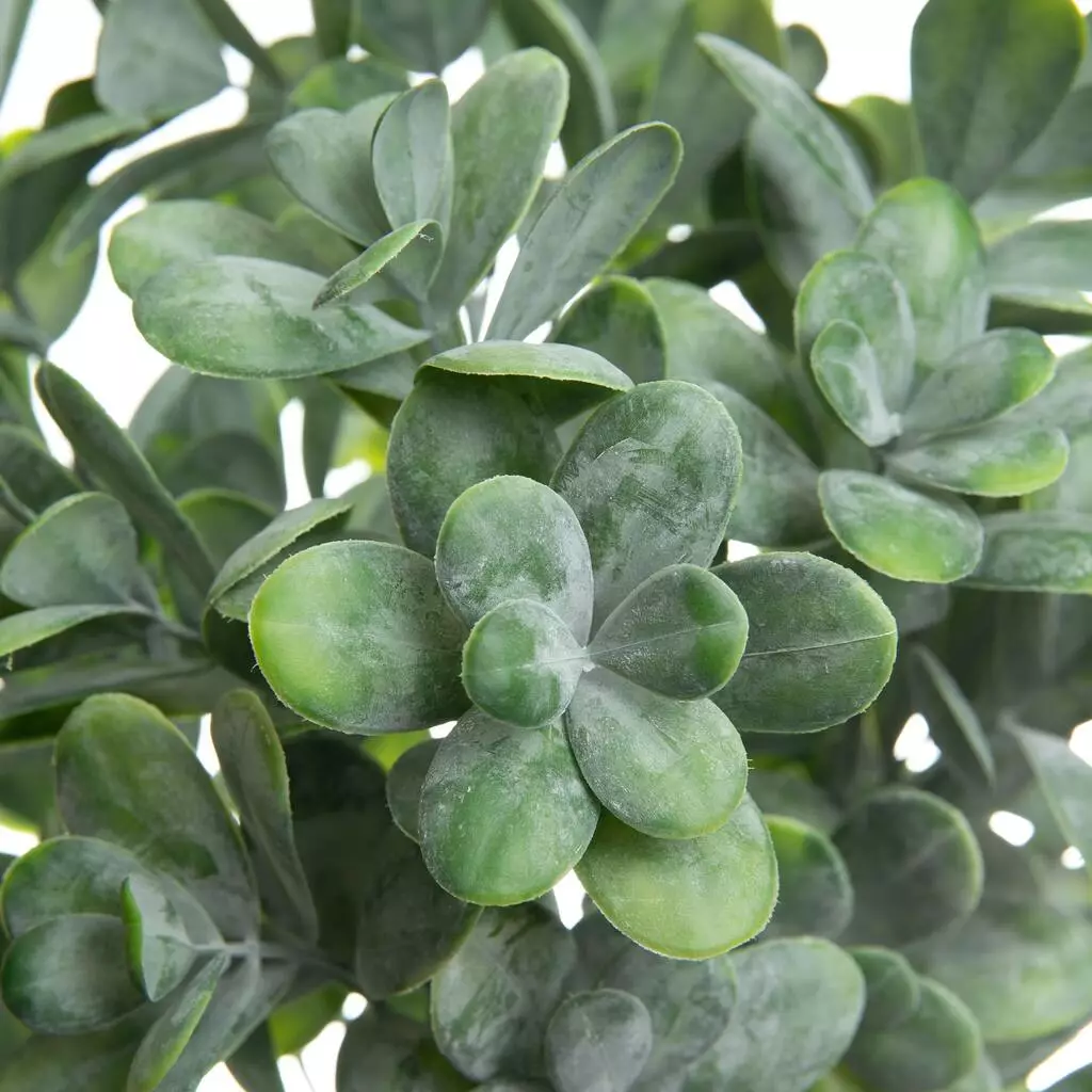 Discount โจ Sage Green Faux Real Jade Bush by Ashland® ๐ 3 Discount โจ Sage Green Faux Real Jade Bush by Ashland® ๐ - Image 2