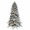Best reviews of ✔️ 7.5ft. Pre-Lit Fir Artificial Christmas Tree, Clear Lights by Ashland® 🔥