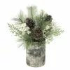Budget 🔔 11.5" Pine, Berry & Snow Arrangement by Ashland® 🛒