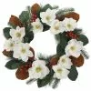 Top 10 ❤️ 24" White Magnolia, Red Berry & Pine Wreath by Ashland® 🌟