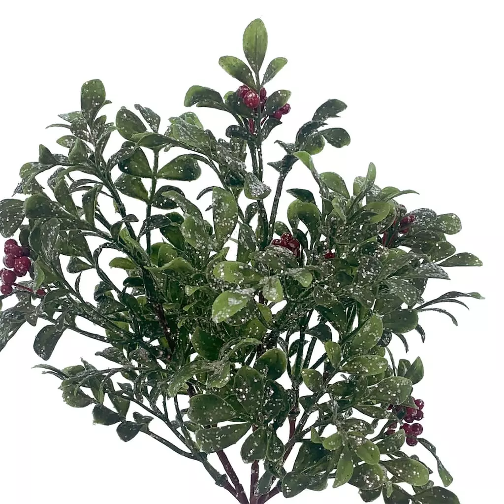 Best Pirce ๐ Glitz Boxwood & Berry Pick by Ashland® โจ 4 Best Pirce ๐ Glitz Boxwood & Berry Pick by Ashland® โจ - Image 2