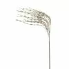 Buy ⌛ Champagne Grass Pick by Ashland® ✔️