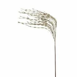Buy ⌛ Champagne Grass Pick by Ashland® ✔️