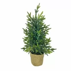 Best reviews of 🌟 18" Christmas Tree Tabletop Accent in Rattan Pot by Ashland® ✔️