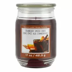 Brand new 🔔 Cranberry Spiced Cider Scented Jar Candle by Ashland® ❤️