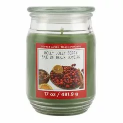 Discount ❤️ Holly Jolly Berry Scented Jar Candle by Ashland® 😉